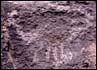 Thumbnail of petroglyph